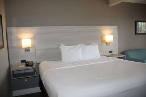 Boca Suites Deerfield Beach, SureStay Collection by BW, Room