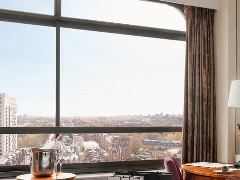 Millennium Hotel London Knightsbridge, View from room