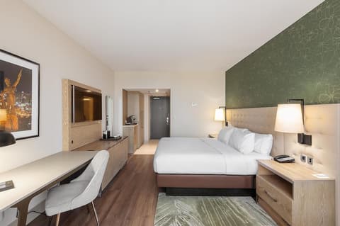 Hilton Birmingham Downtown at UAB, Room