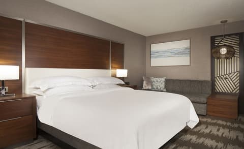 Hilton Tampa Airport Westshore, Room