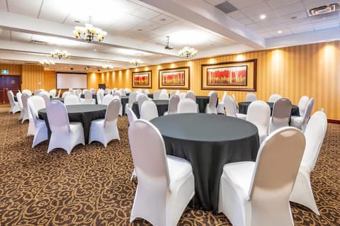 Comfort Inn & Conference Centre Toronto Airport, Property amenity