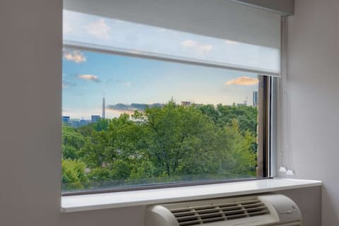 Hampton Inn & Suites by Hilton Toronto Downtown, View from room