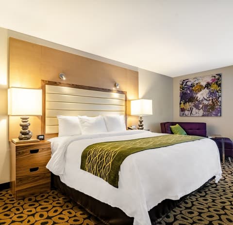 Comfort Inn Raleigh Midtown, Room