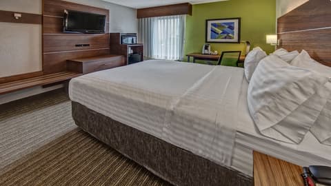 Holiday Inn Express Memphis Medical Center Midtown by IHG, Room
