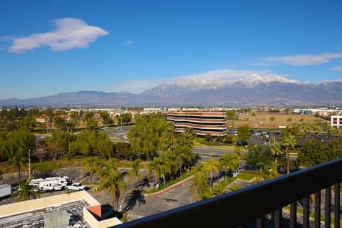 Ontario Airport Hotel & Conference Center, Room