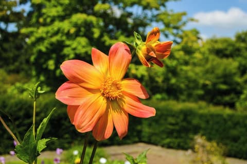 Holiday Inn Austin -Town Lake by IHG, Point of interest