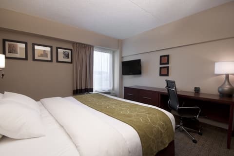 Comfort Suites at Woodbridge, Room