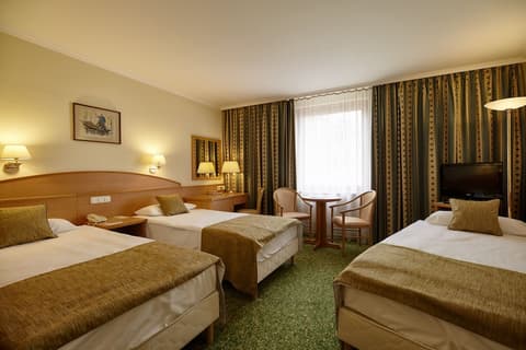 Danubius Hotel Erzsébet City Center, Room