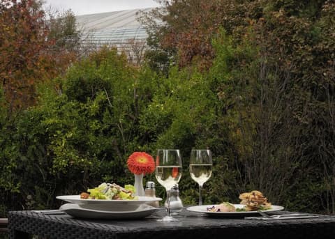 The Sandymount Hotel, Food and drink