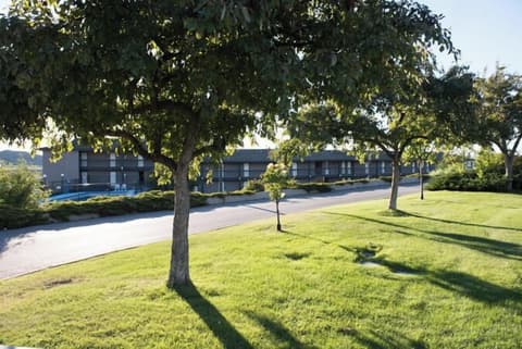 The Vista Inn, Garden