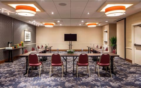 DoubleTree Suites by Hilton Minneapolis Downtown, Meeting facility