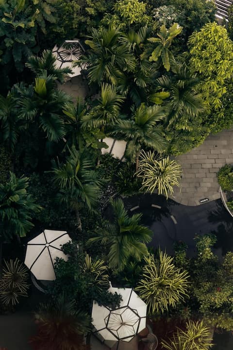 Grand Hyatt Singapore, Pool