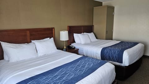 Comfort Inn, Room