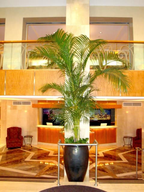 San Carlos Hotel, Lobby
