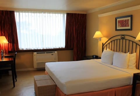 Kapok Hotel, Room