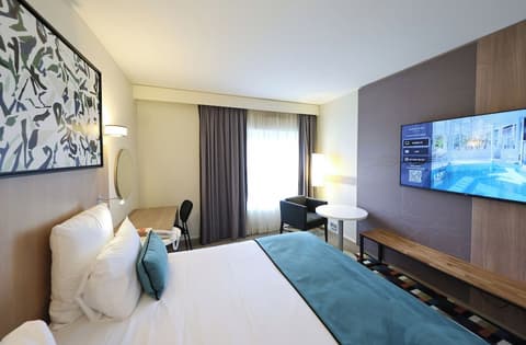 Mercure Grenoble Centre Porte des Alpes, Room