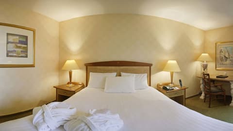 Millennium Hotel Paris Charles de Gaulle, Room