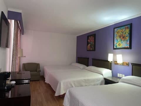 Hotel Arroyo de la Plata, Room