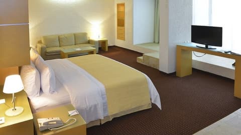 Holiday Inn Morelia by IHG, Room
