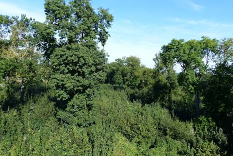 Ibis Paris Meudon Velizy, View from room