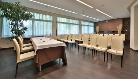 Best Western Hotel Cristallo, Meeting facility