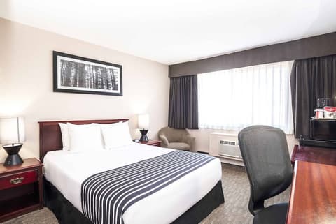 Sandman Inn Smithers, Room