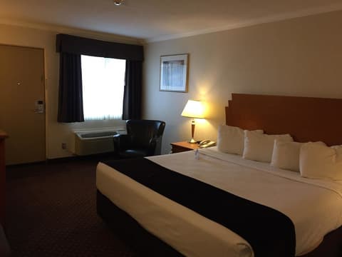 Best Western Thunder Bay Crossroads, Room