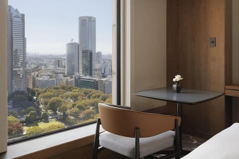 Hyatt Regency Tokyo, View from room