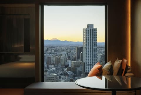 Hyatt Regency Tokyo, View from room
