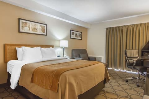 Comfort Inn Magnetic Hill, Room