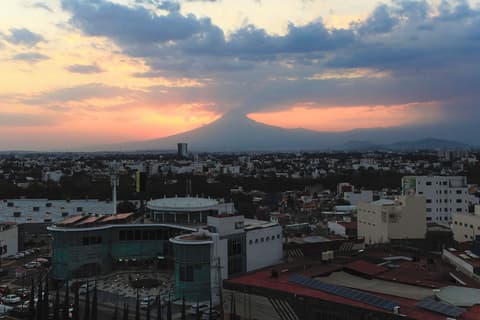 Courtyard by Marriott Puebla Las Animas, Room
