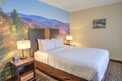LeConte Hotel & Convention Center, an Ascend Collection Hotel, Room