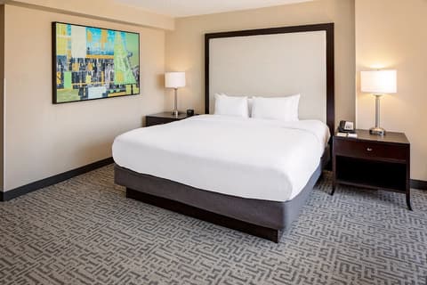 DoubleTree by Hilton Chicago - Magnificent Mile, Room