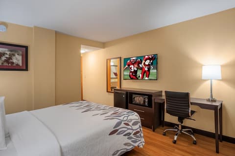 Red Roof Inn Des Moines, Room