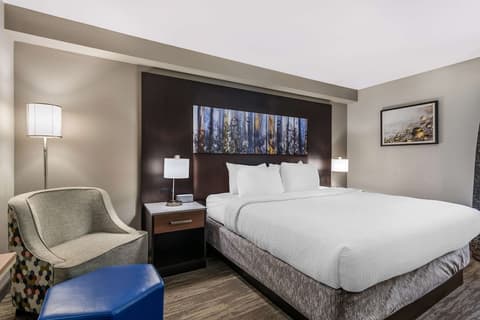 Best Western Atlanta-Marietta Ballpark Hotel, Room