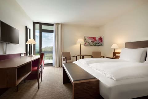 Ramada by Wyndham Nuernberg Parkhotel, Room