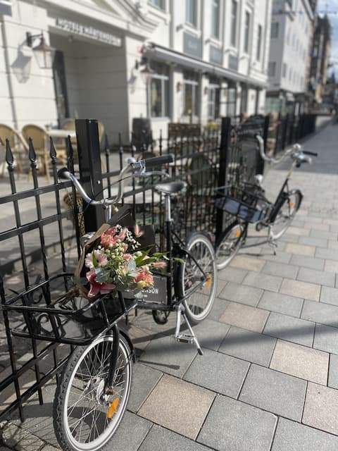 Elite Hotel Mårtenson, Bicycling