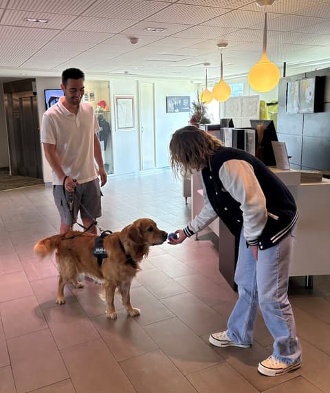 Novotel Bordeaux Lac, Reception