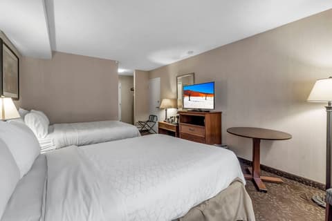 Buffalo Airport Hotel, Room