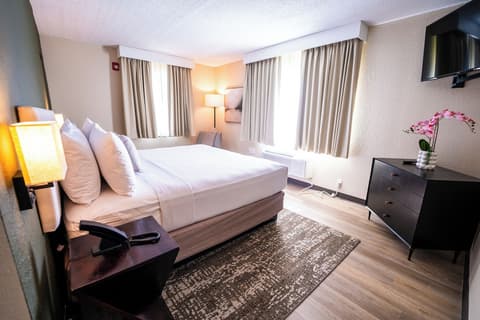 Mai Hana Hotel and Suites, Room