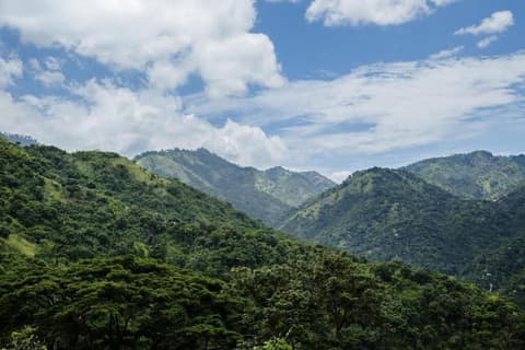 Strawberry Hill, Miscellaneous