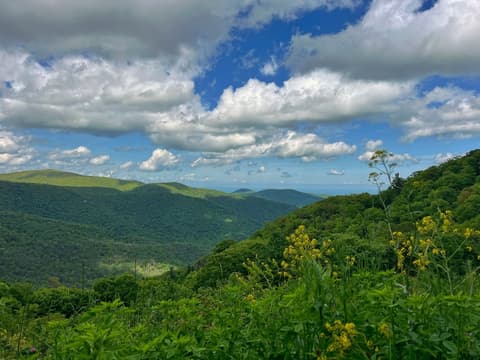 Big Meadows Lodge, Hiking