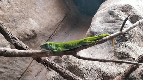 Holiday Inn Hotel & Suites London by IHG, Point of interest