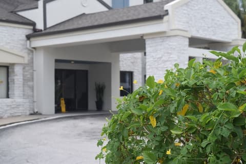 Destiny Palms Hotel Maingate West, Reception