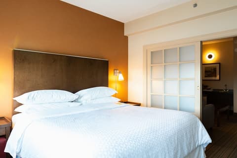 Lakeview Signature, Trademark Collection by Wyndham, Room