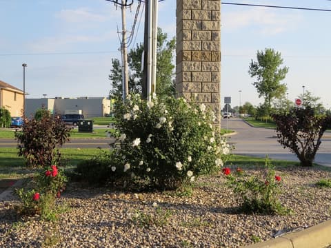 Lexington Inn & Suites Windsor, Property grounds