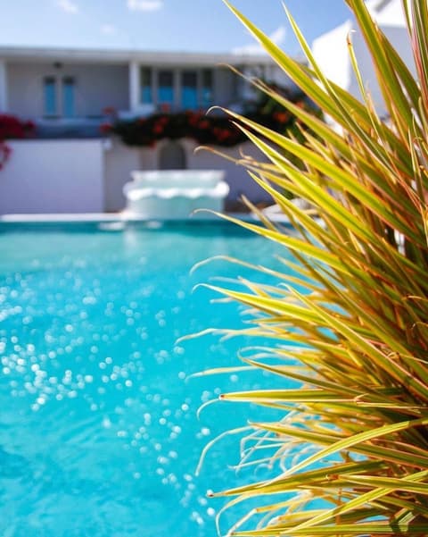 Trade Winds Hotel, Pool