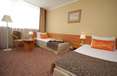 Hotel Mercure Torun Centrum, Room