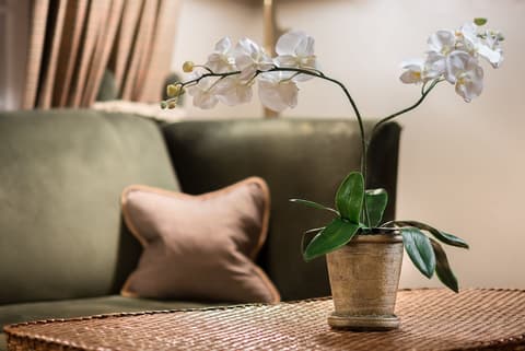 Home Hotel Bastion, Lobby