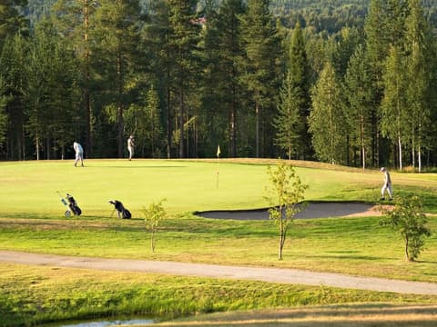 Original Sokos Hotel Vaakuna Rovaniemi, Golf